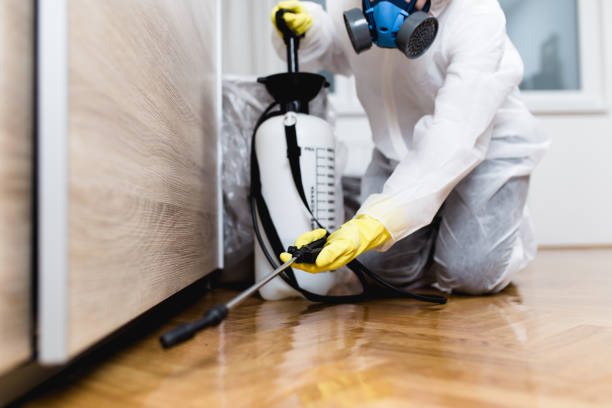 Best Bed Bug Extermination  in Deer Park, NY