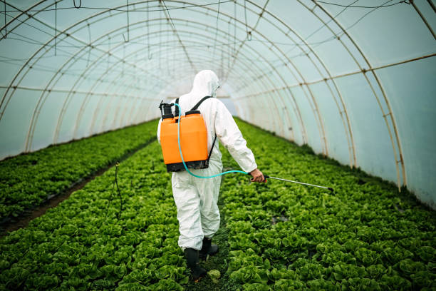 Best Affordable Pest Control Services  in Deer Park, NY