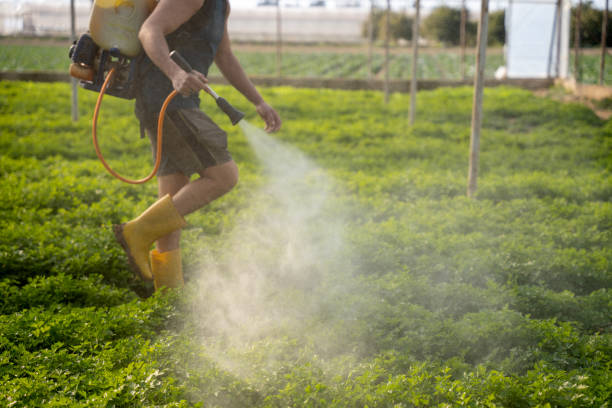 Best Affordable Pest Control Services  in Deer Park, NY