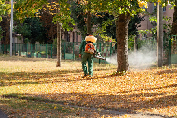 Deer Park, NY Pest Control Company
