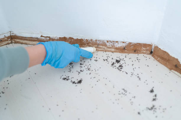 Best Pest Removal Services  in Deer Park, NY